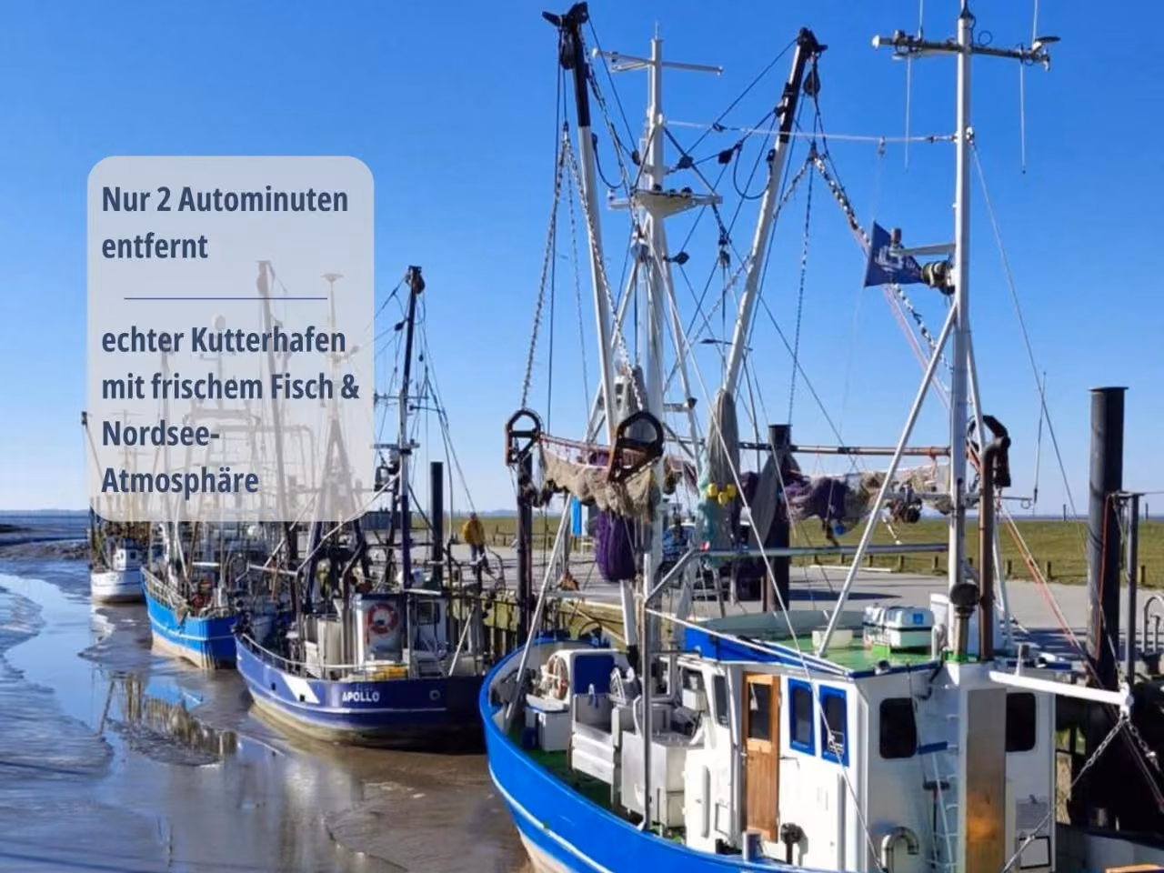 Bild der Unterkunft