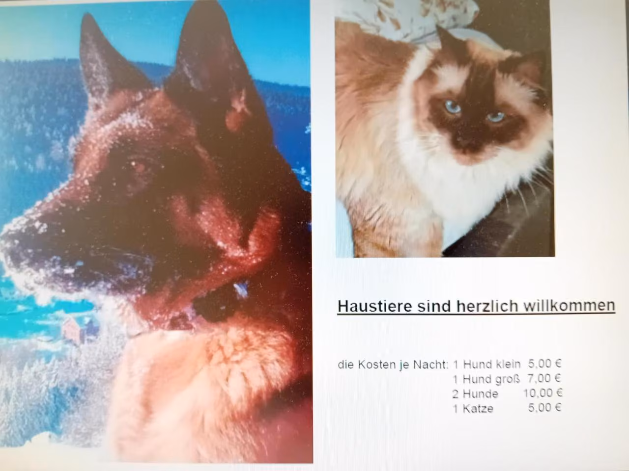 Bild der Unterkunft