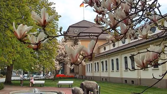 Bild der Unterkunft