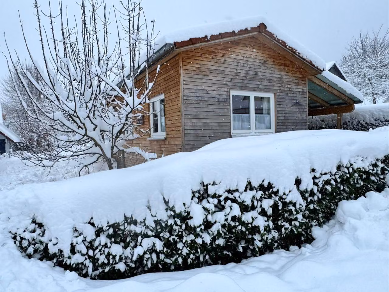 Bild der Unterkunft
