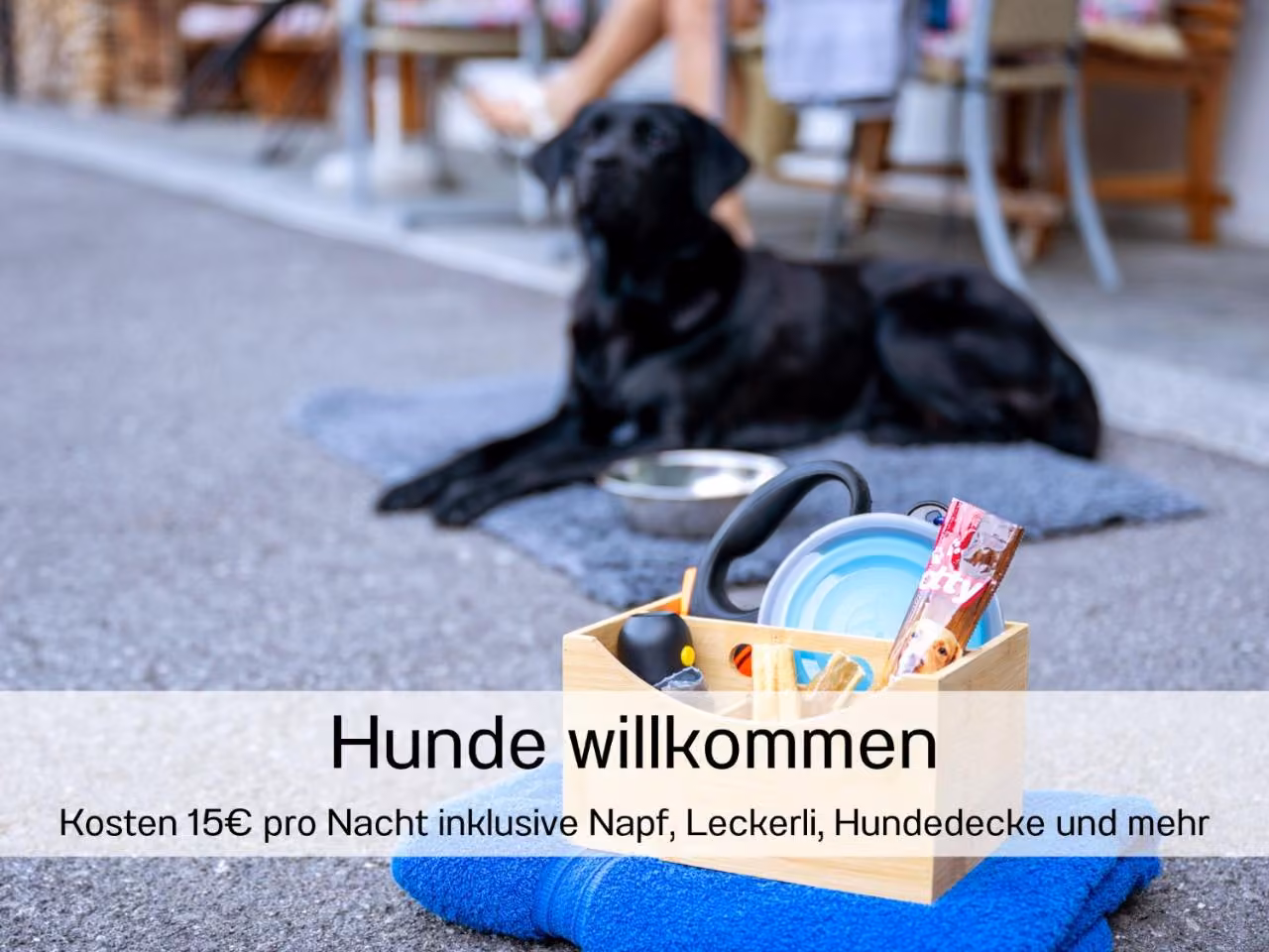 Bild der Unterkunft