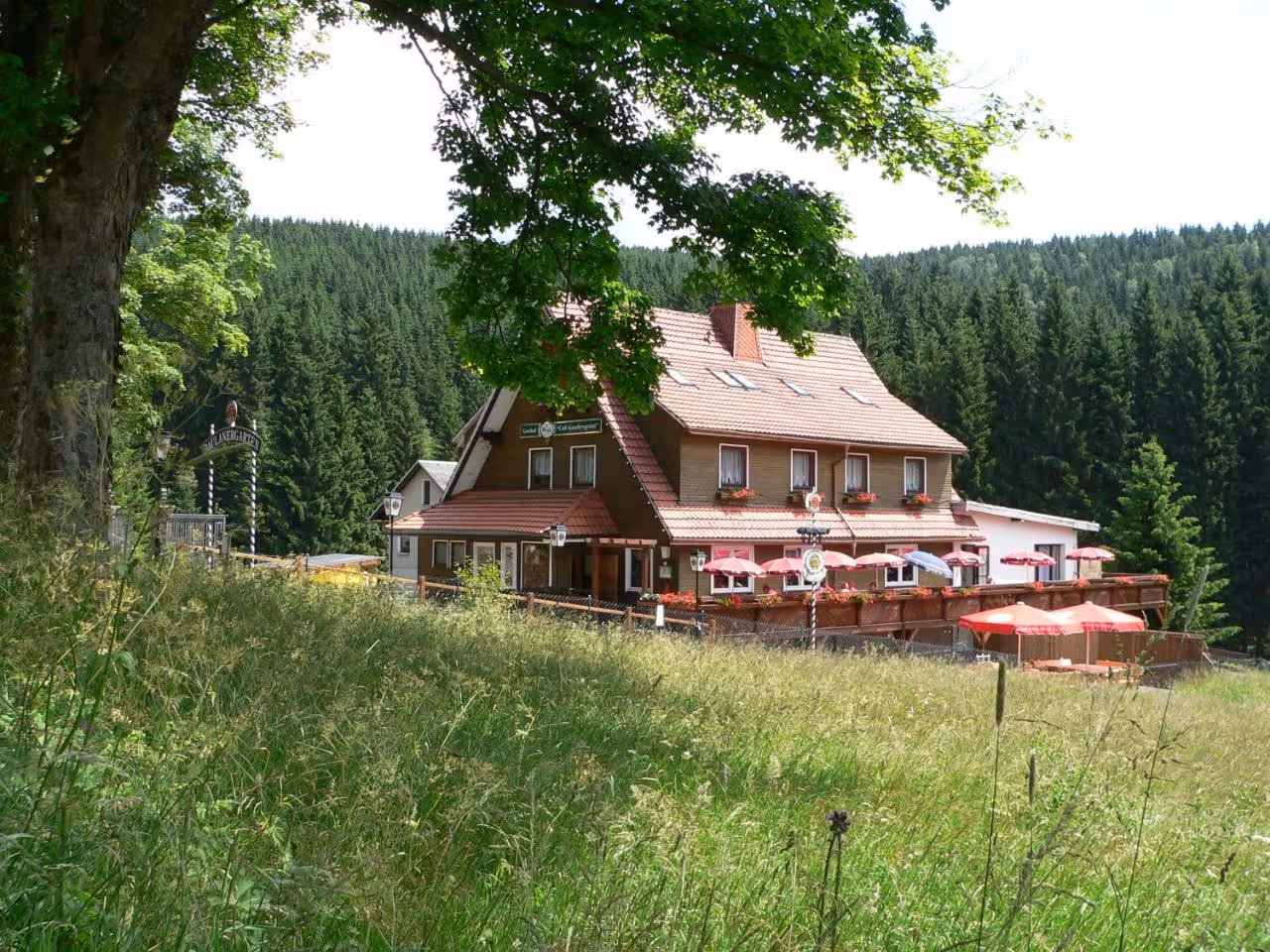 Bild der Unterkunft