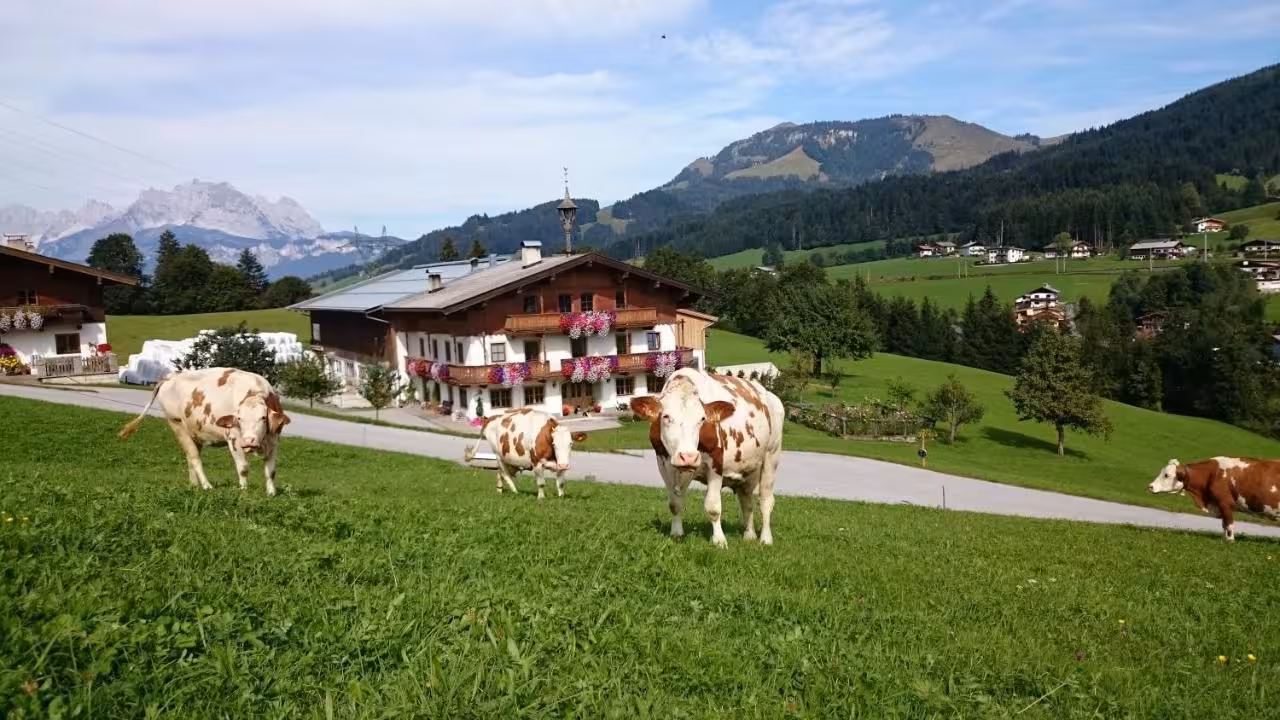Bild der Unterkunft