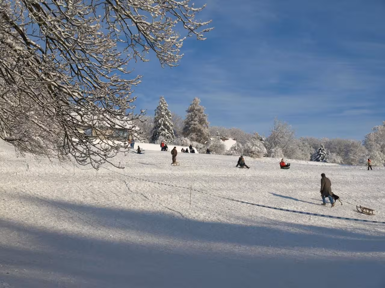 Bild der Unterkunft