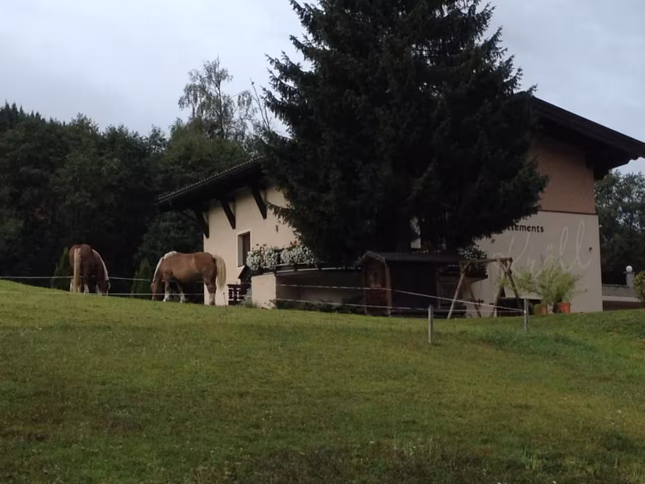 Bild der Unterkunft