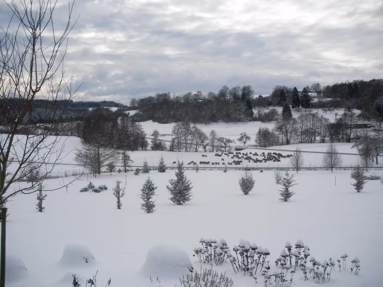Bild der Unterkunft
