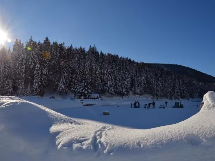Bild der Unterkunft