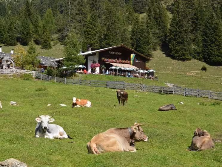 Bild der Unterkunft